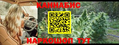 гидра Кинель