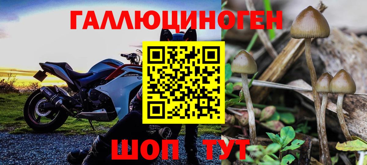 Галлюциногенные грибы ЛСД  Псилоцибиновые грибы ЛСД  Вход с VPN  Заволжье 